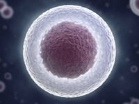Single Cell Analysis Summit